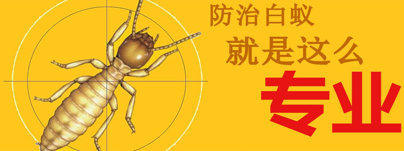 手机端幻灯一